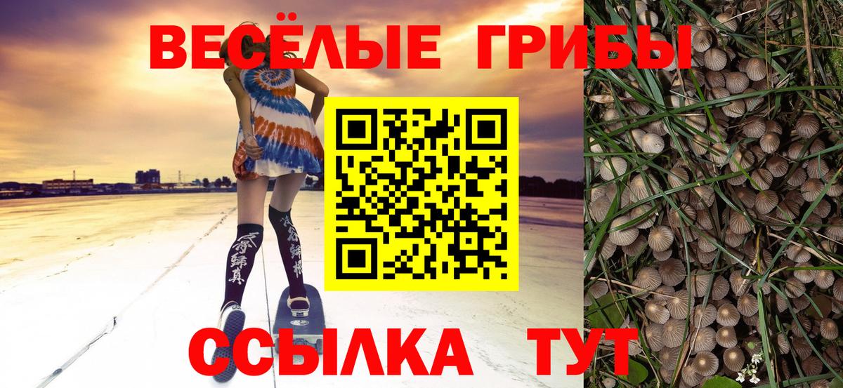 Ульяновск  Галлюциногенные грибы Psilocybe  купить  сайты  Вход с VPN 